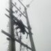 Suspected Electric Cable Vandal Gets Electrocuted In Delta (Photos)
