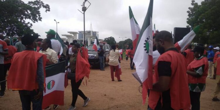 #SubsidyProtests: Borno NLC Stops Protest Over Insecurity