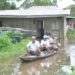 Flood Renders Ondo Residents Homeless (Photos)