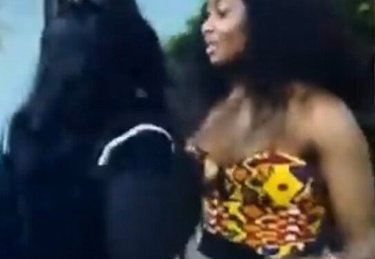 BBNaija: Ilebaye Clashes With Female Housemates As She Pulls Ceec’s Wig And Pushes Doyin After Their Saturday Night Party (Video)