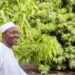 “Out Of Office, Out Of Handsomeness” – Nigerians React As Recent Photo Of Buhari Surfaces Online (Comments)