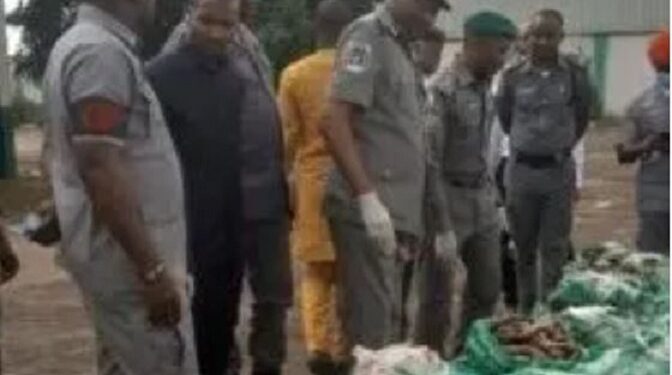 Customs Intercepts Dried Shark Fins, Donkey Genitals Worth N1.23bn In Lagos