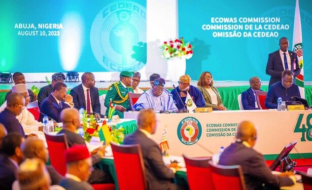 What ECOWAS Leaders Discussed On Niger Coup (Read Full Text)