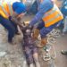 21-Year-Old Woman Falls Into Well in Kwara, Dies (Photos)