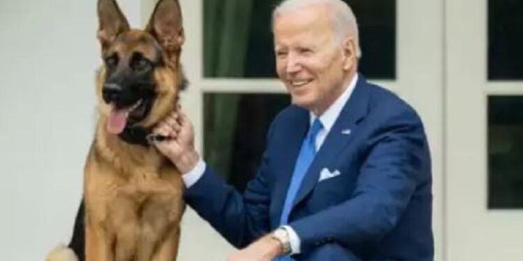 President Biden’s German Shepherd Bites Another Secret Service Agent