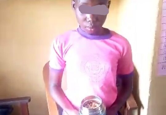 12-year-old Girl Confesses To Putting Sniper In Her Foster Mother’s Food (Video)