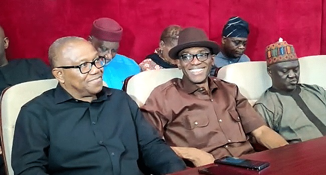 EU Report You Tendered As Evidence Lacks Merit – Tribunal Tells Peter Obi, LP