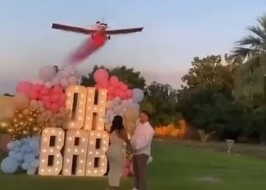 Pilot Dies After His Plane Crashed During A Gender Reveal Stunt In Front Of Cheering Guests (Video)