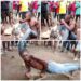 Man Flogged For Allegedly Stealing Chickens In Benue Community