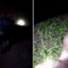 Confusion As Goat Gives Birth To Half-human In Kwara (Watch Graphic Video)