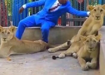 Social Media Users React To Footage Of Pastor Who Invited Church Member To Watch Him In Lions’ Den (Video & Comments)