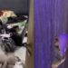 Nigerian Man Accuses Suspected EFCC Officers Of Stealing His Personal Items After They Raided His Home (Video)
