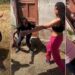 Emotional Moment Lady Surprised Her Mother After 5 Years in America (Video)