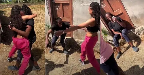 Emotional Moment Lady Surprised Her Mother After 5 Years in America (Video)