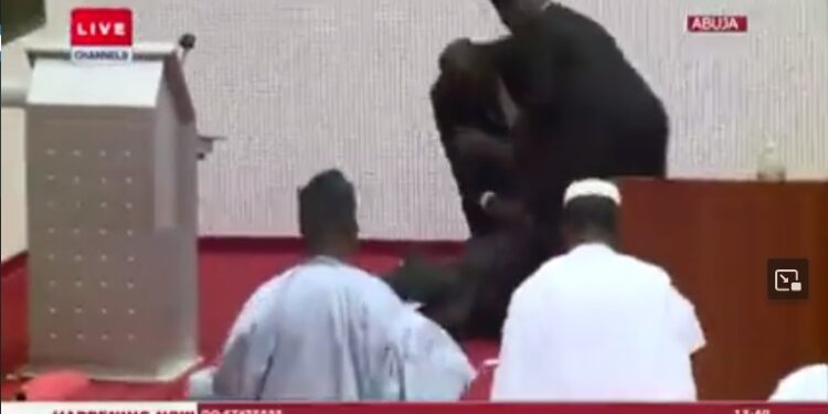 Watch The Moment Ministerial Nominee Collapses On Stage During Screening, Wheeled Out of Senate Chamber (Video)
