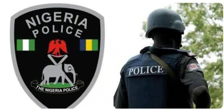 What You Should Do If Police Officers Ask For Payment Before Lodging Complaint – Spokesman, Muyiwa Adejobi