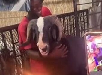 Ram Gets A Huge Cake As It Marks Birthday (Video)