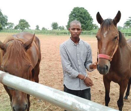 Police Arrest Man For Stealing Two Horses In Niger State (Photo)