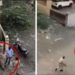 Watch Moment Nigerian Man Dramatically Escaped From Police Custody During Drug Raid In India (Video)