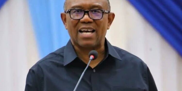 Peter Obi Hails Nigerian Boy After He Graduated From American High School at the Age of 9