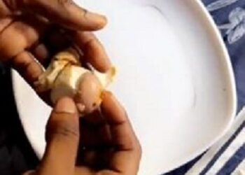 Is This Normal? – Man Queries After Finding Another Egg With Its Shell Inside His Hard Boiled Egg (Video)
