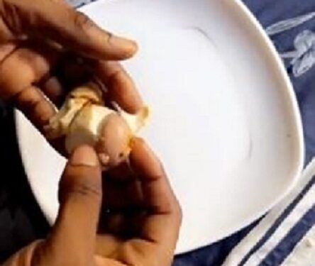 Is This Normal? – Man Queries After Finding Another Egg With Its Shell Inside His Hard Boiled Egg (Video)