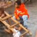 So Sad: Son Watches As Father Is Publicly Humiliated For Breaking Into House With A Ladder To Steal (Video)