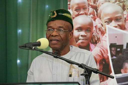Why Western Style Democracy Has Failed In Nigeria – Ex-Minister Replies Obasanjo
