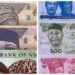 FG Tables Fresh Request Before Supreme Court Over Old Naira Notes, Warns Of Major Crisis