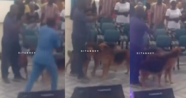 Man Storms Neighbouring Church With His Dogs, Threatens Them Over Noise Pollution (Video)