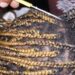 Drama As Uber Driver Cuts Off Braids of His Two Female Passengers Who Ordered a Ride Without Money (Video)