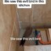Residents Pray Vigorously After “Evil Bird” Entered Their Kitchen (Video)