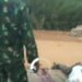 Alleged Ballot Snatcher Shot Dead In Kogi State (Video)