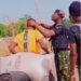 “Some Rules Are For The Poor” – Nigerians React As Soldiers Are Spotted Using Scissors to Cut Hair of Motorists (Video & Comments)