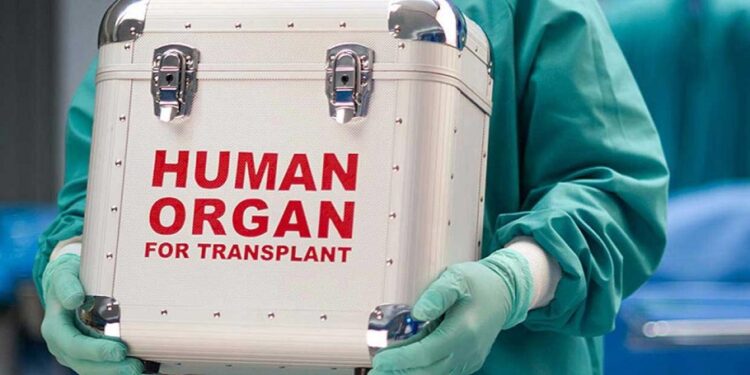 Nigerian Government Vows To Go After Kidney Buyers, Sellers, And Doctors, Hospitals Involved In Organ Trafficking In Abuja