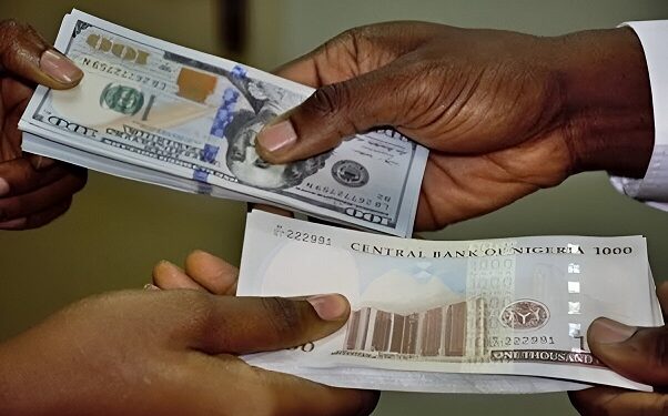 Naira May Depreciate To 1,500/$ In 2024 – Chukwu Projects