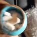 Man Shocked To Find Out His Wife Is HIV Positive After Three Years Of Marriage (Video)