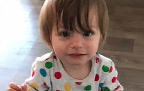 Toddler Died Of Starvation While Curled Up Next To His Father Who Died Of Heart Attack