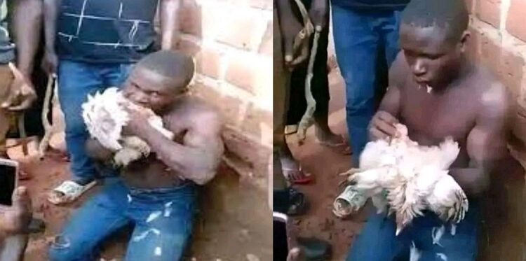 Man Who Was Caught Stealing Is Forced To Eat Raw Chicken