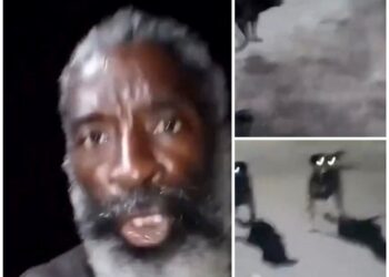 I Serve A Living God – Man Prays Fervently In Tongues To Chase Away Multiple Wild Dogs (Video)