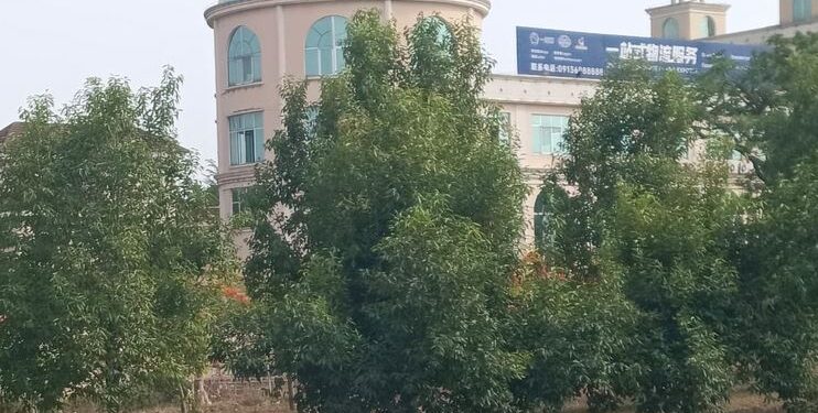 FG Raids Abuja Chinese Supermarket Which Discriminates Against Nigerians