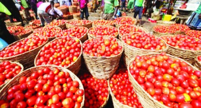 Nigerians Lament As Price Of A Basket of Tomatoes Increases To ₦150,000