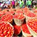 Nigerians Lament As Price Of A Basket of Tomatoes Increases To ₦150,000