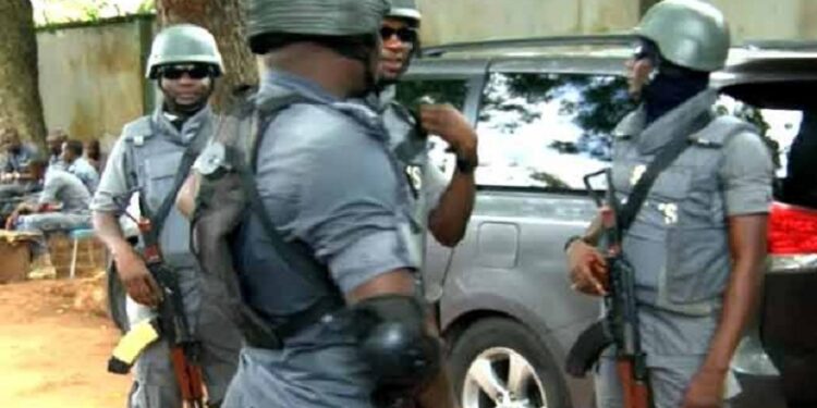 NCS Intercepts Truckload Of Donkey Bones Worth N3bn