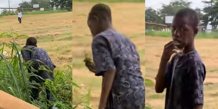 Nigerian Boy Eats Grass Amidst Hunger Crisis (Video)