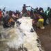 Bayelsa Residents Butcher Huge Whale at Brass Island (Video)