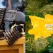 ‘Bandits Demand ₦20 Million Levies, Taxes Monthly From Benue Communities’