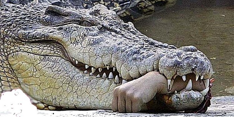 Crocodile Kills Woman Bathing In River