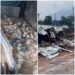 Abuja-Based Poultry Owner Laments After His N150m Investment With 5,000 Birds Was Allegedly Demolished “Without Prior Notice” (Video)