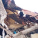 Woman Dies As Building Collapses In Osun